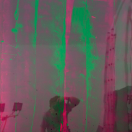 Xylem Series – Excelsa 7