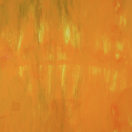 Xylem Series – Haplostele 7