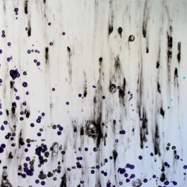 Xylem Series-avium 2 (detail)