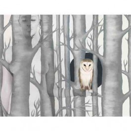 Wallpaper owl III (Edition of 10)