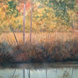 Creek, Kimberley