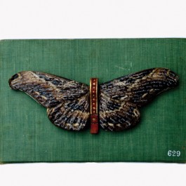 The Mysterious Happenings at Badgers Hollow