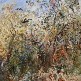 Black Cockies in the Banksias