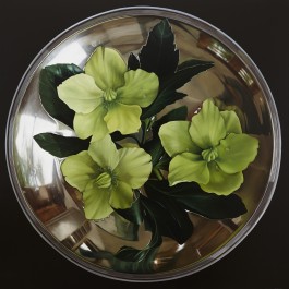 Hellebores in silver bowl