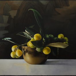 Loquats, Streams and Mountains