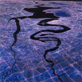 Featured Artwork of The Black Swan Darlington to Fremantle