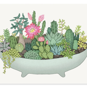 Summer Cactus Pot (Edition of 50)