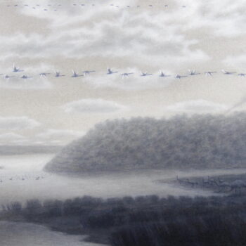 Mooro Katta Kings Park