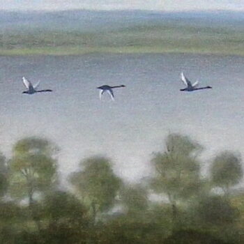 Southern View From Byerbrup Ridge