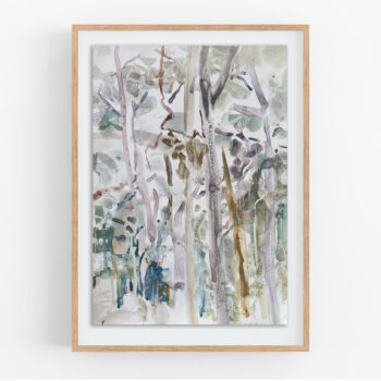 Boranup Forest B